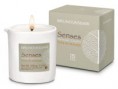 Senses Massage Candle Jasmin masážní svíčka 200 ml